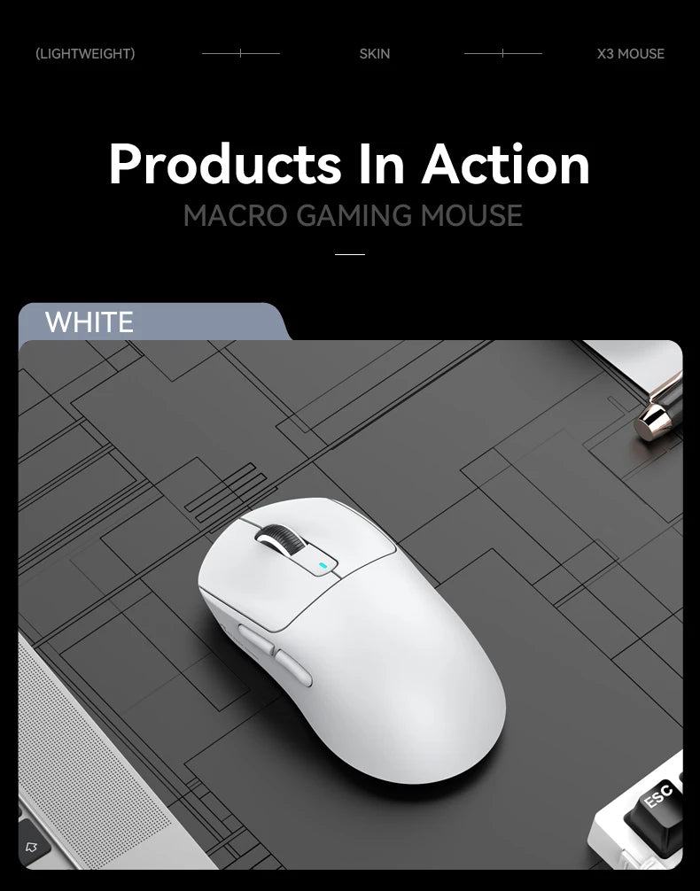 Mouse Gaming